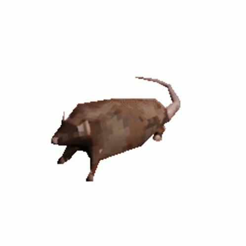 spinning rat